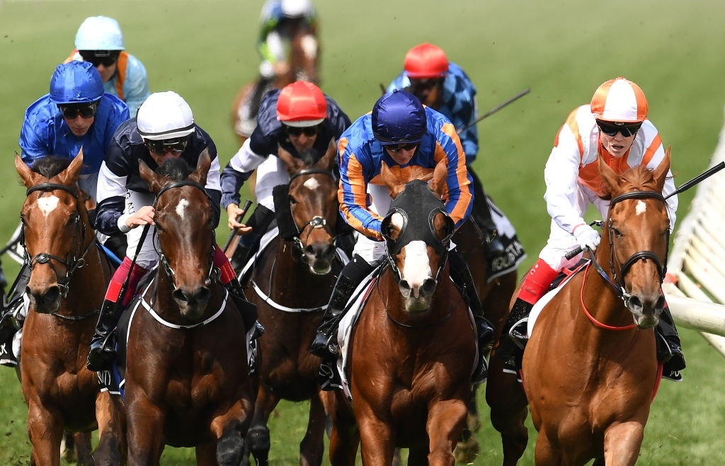 Weekly Results + Lachlan Mosley Morphettville Preview 19 November 2022