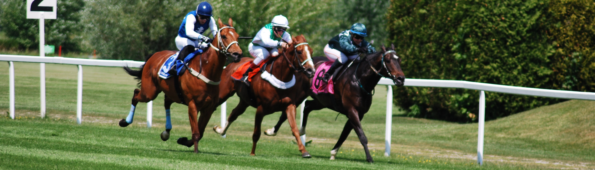 Saturday Newsletter 13 September 2025