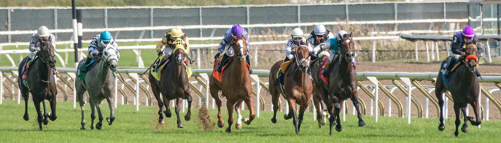 Saturday Newsletter 20 September 2025