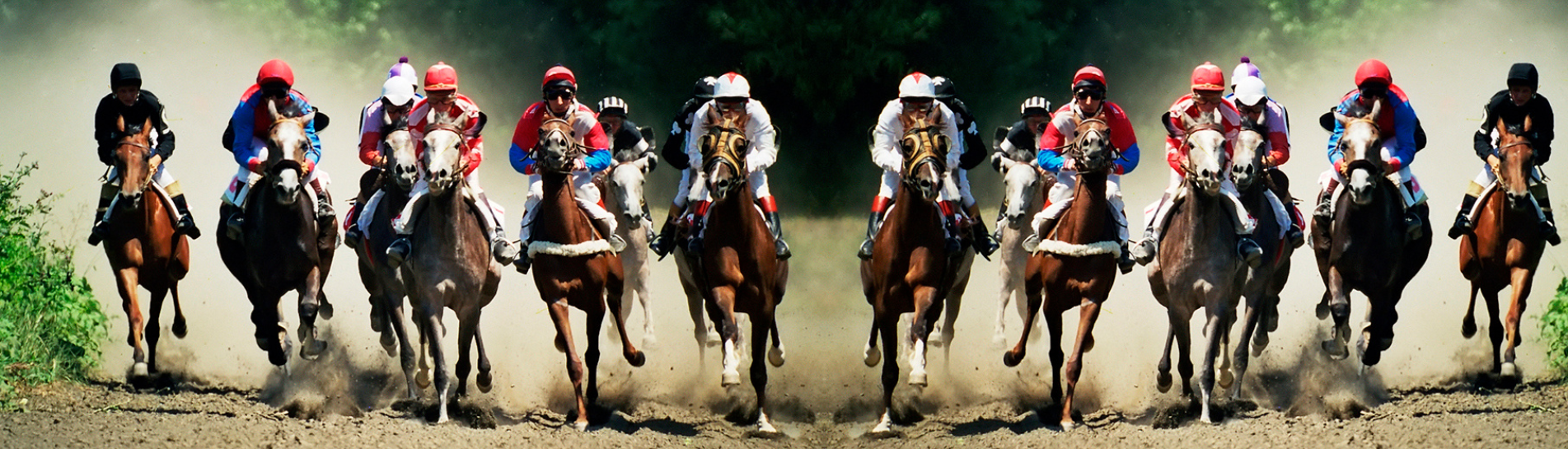 Your Very Own Melbourne Cup Runner Competition - Game of Skill Terms & Conditions 