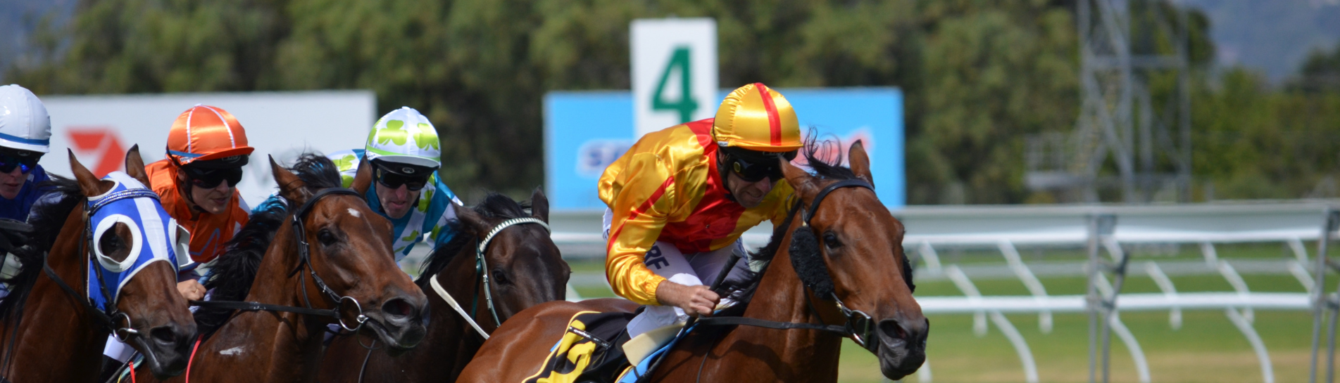 Dean Evans G3 13 March 2026 Features Race Preview | Horse Racing Tips & Strategies | SEN Giddy Up